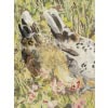 Hélène RIVIERE 1896-1977 Les Poules 11
