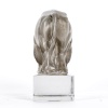 1931 René Lalique – Presse Papiers Bison Verre Blanc Patiné Gris 13