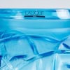 Lalique France – Vase Sauterelles Cristal Bleu Electrique – NEUF 13