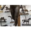 Sculpture – Diane Chasseresse , Jean – Antoine Houdon (1741-1828) – Bronze 19
