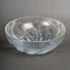 1921 René Lalique- Coupe Chicorée Verre Opalescent 11