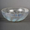 1921 René Lalique- Coupe Chicorée Verre Opalescent 12