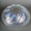 1921 René Lalique- Coupe Chicorée Verre Opalescent 16