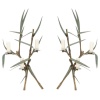 1960 Paire rare d’appliques murales en bronze modèle bambou signées Maison Charles 11