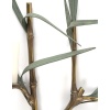 1960 Paire rare d’appliques murales en bronze modèle bambou signées Maison Charles 12