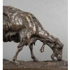 Sculpture – Chèvre Broutant , Pierre – Jules Mêne (1810-1879) – Bronze 16