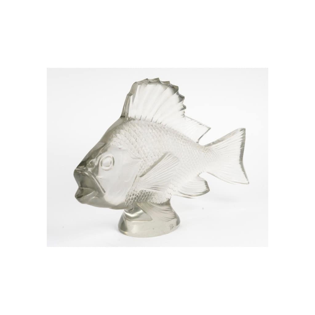 1922 – RENÉ LALIQUE Motif décoratif “Gros poisson algues” 8