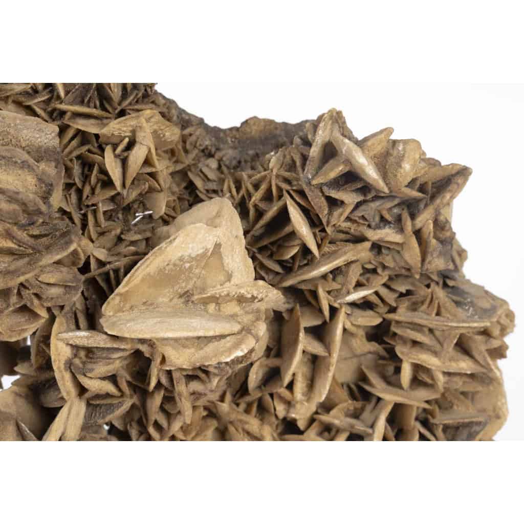 Lampe à poser attribuée à Willy DARO, années 1970 5 Lampe à poser attribuée à Willy DARO, années 1970 5