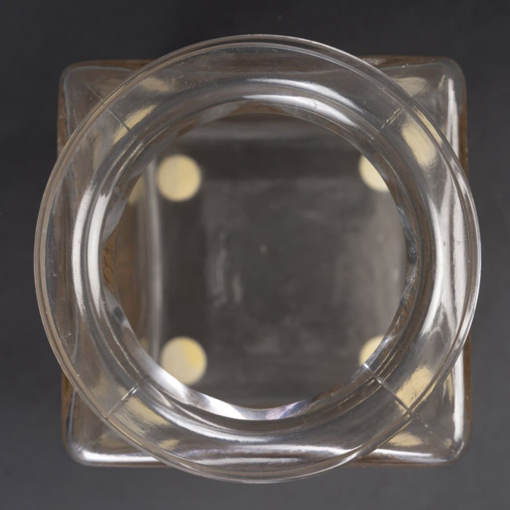 LALIQUE – Vase carré « Myrrhis » 1926 11