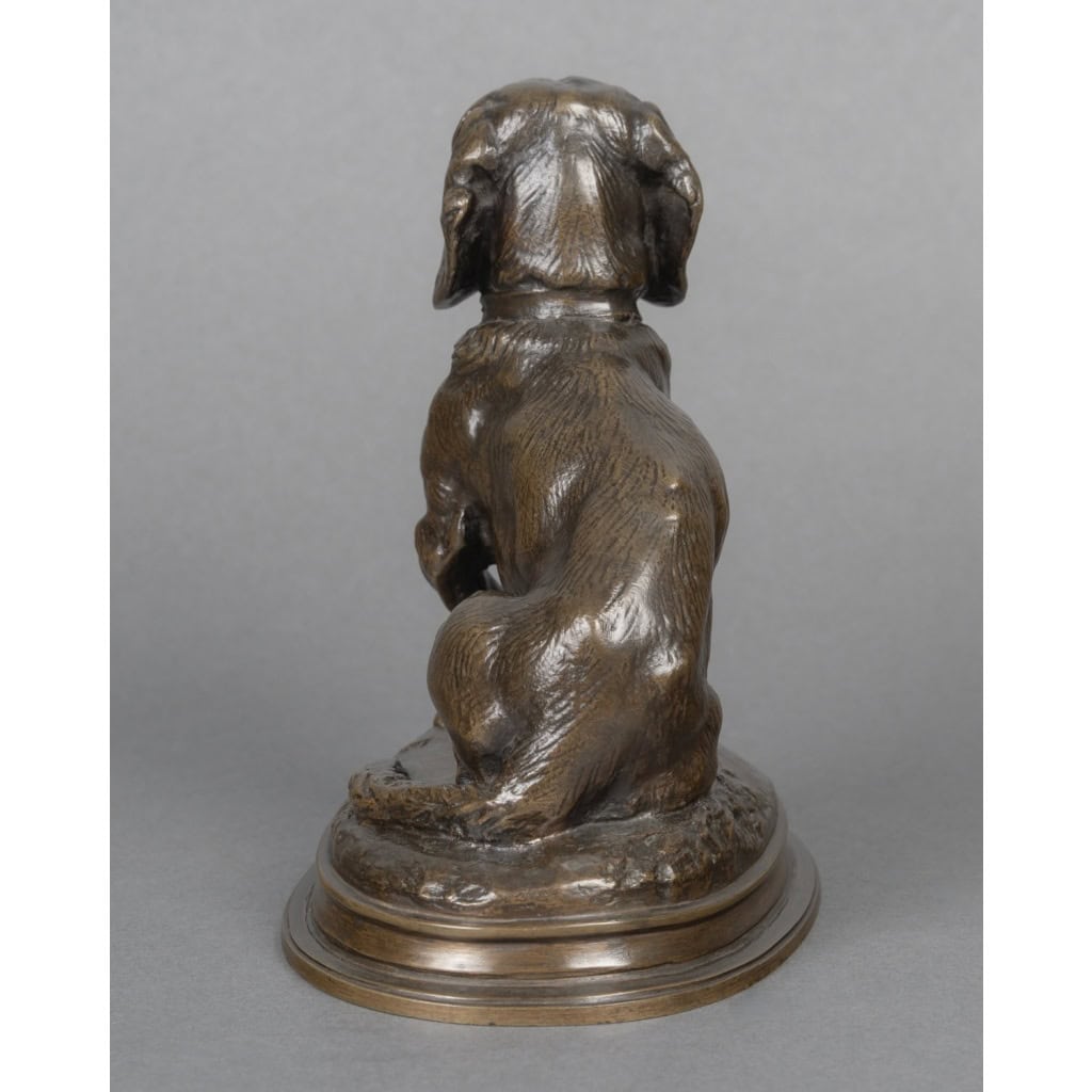 Sculpture – Basset Assis (Ravageot) , Emmanuel Frémiet (1824 -1910) – Bronze 11