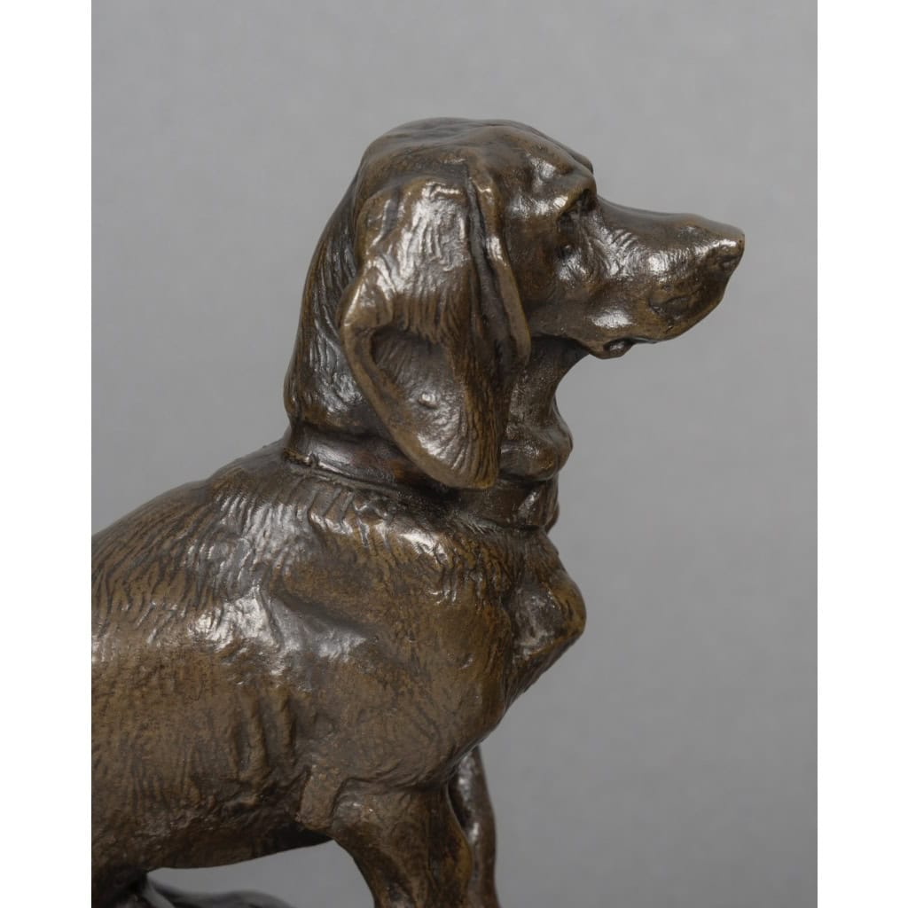 Sculpture – Basset Assis (Ravageot) , Emmanuel Frémiet (1824 -1910) – Bronze 12