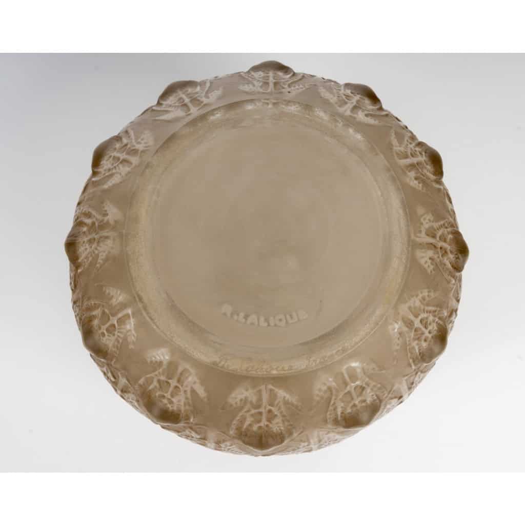 1912 René Lalique – Vase Fougères Verre Blanc Patiné Sépia 7