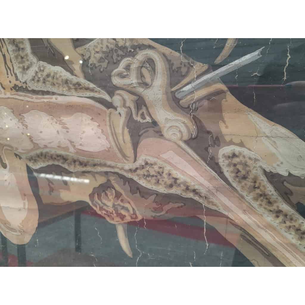 Planches murales d&rsquo;anatomie, Delagrave, 1870-1880, Paris 8