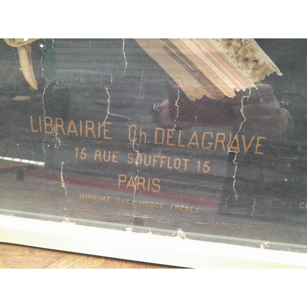 Planches murales d&rsquo;anatomie, Delagrave, 1870-1880, Paris 10