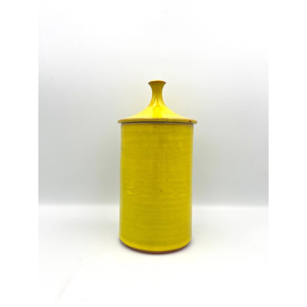 Pot couvert en terre cuite émaillé par Rusconi Della Branca 3