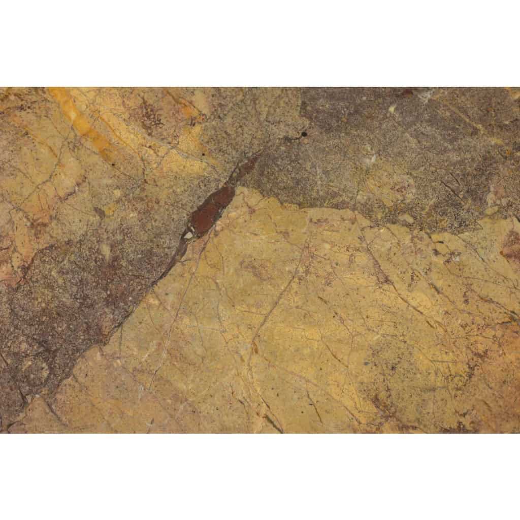 Table basse rectangulaire en marbre Sarrancolin. Travail contemporain LS65421228 6