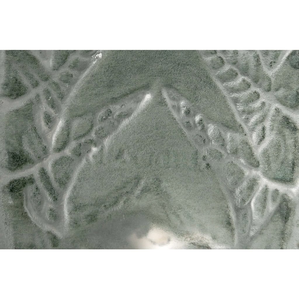 1912 René Lalique – Vase Fougères Verre Blanc Patiné Vert 9