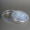1921 René Lalique – Boîte Tokyo Verre Opalescent 10