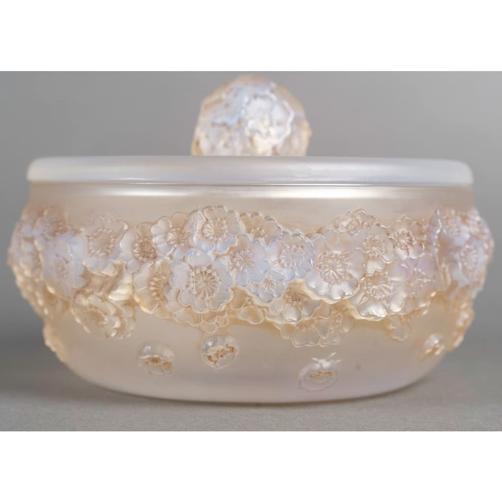 1927 René Lalique – Boîte Primevères Verre Opalescent Patiné Sépia 3