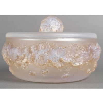 1927 René Lalique – Boîte Primevères Verre Opalescent Patiné Sépia