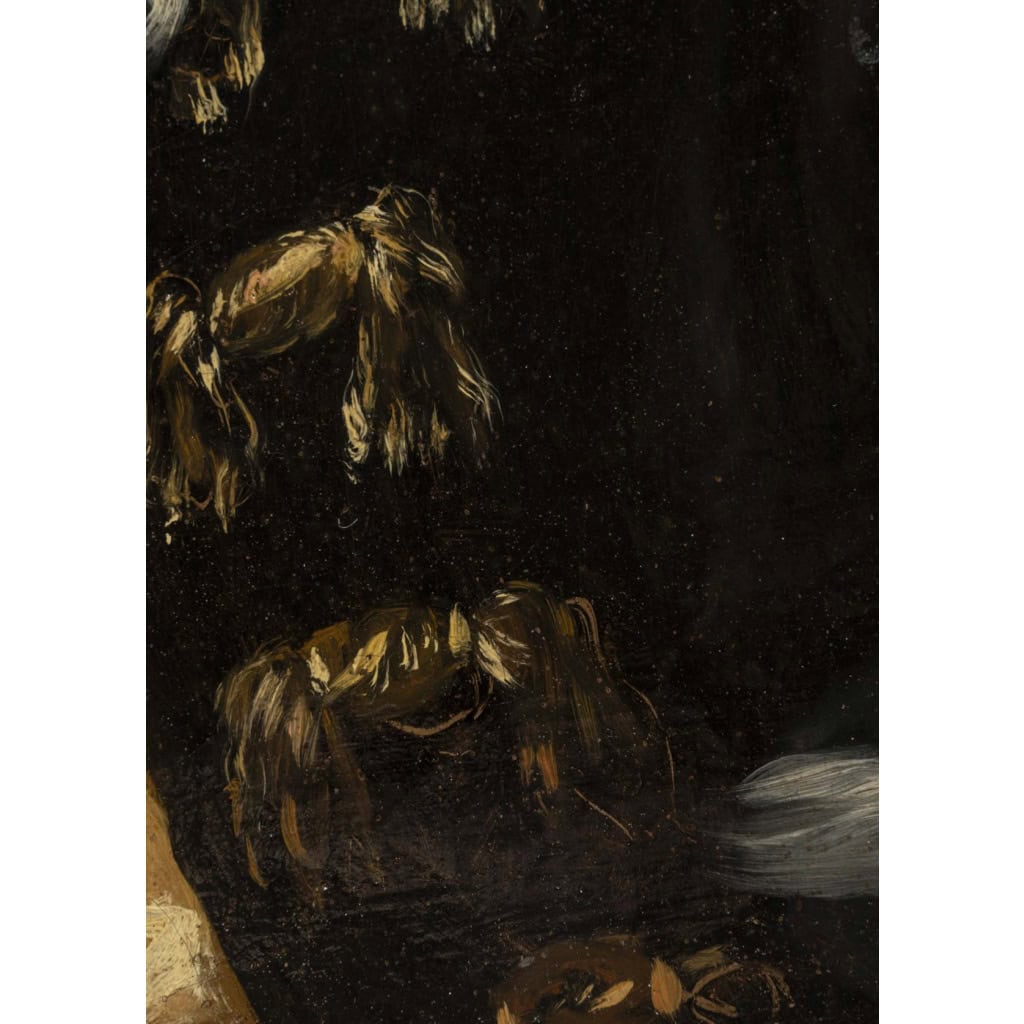 Ecole Française du XVIIIème siècle Portrait d’un gentilhomme 8 Ecole Française du XVIIIème siècle Portrait d’un gentilhomme 8