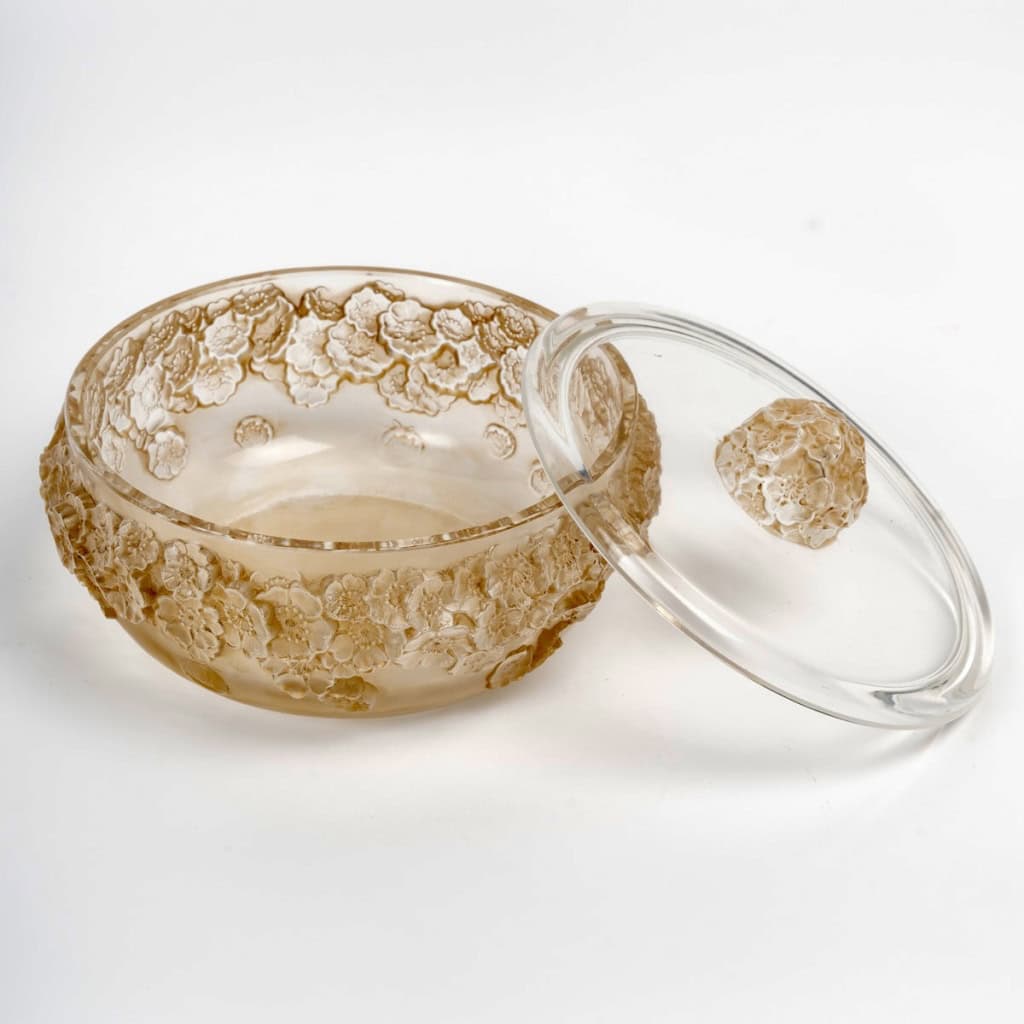 1927 René Lalique – Boîte Primevères Verre Blanc Patiné Sépia 5