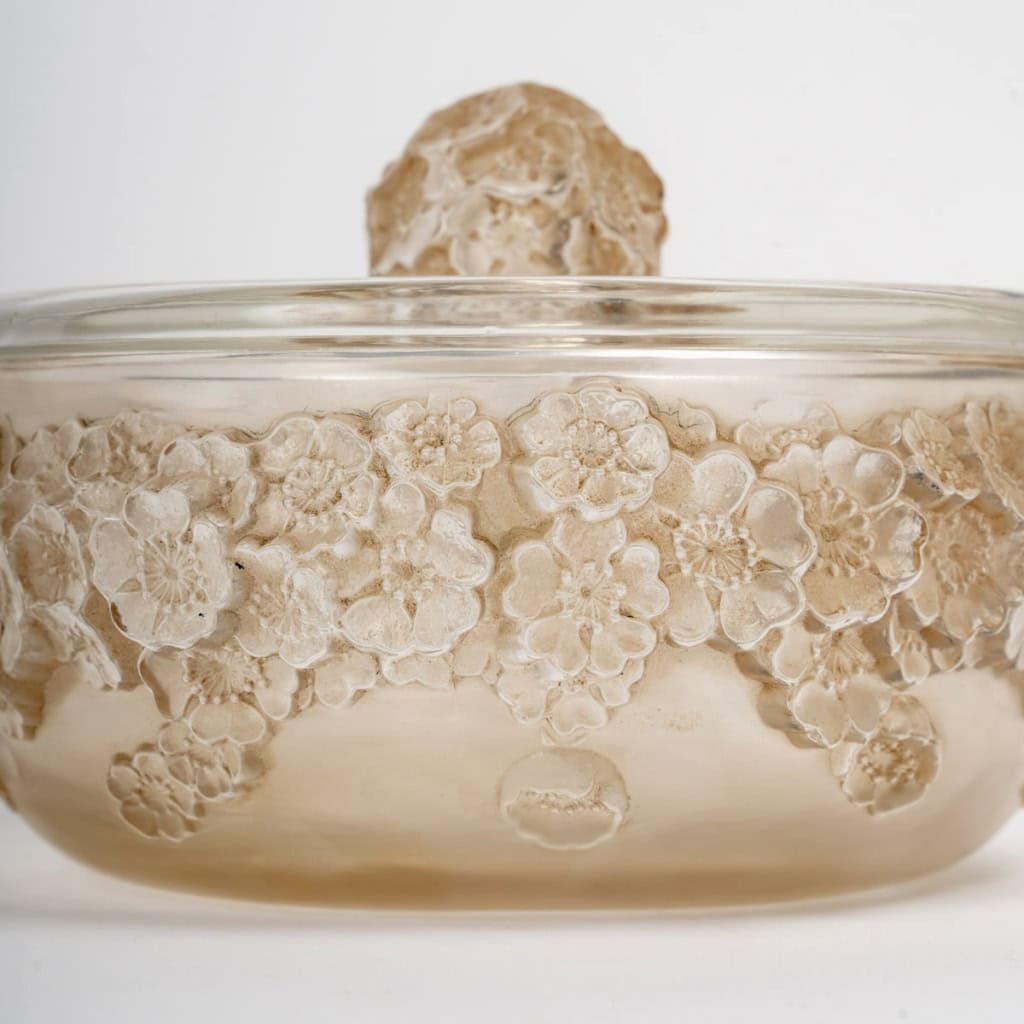 1927 René Lalique – Boîte Primevères Verre Blanc Patiné Sépia 6