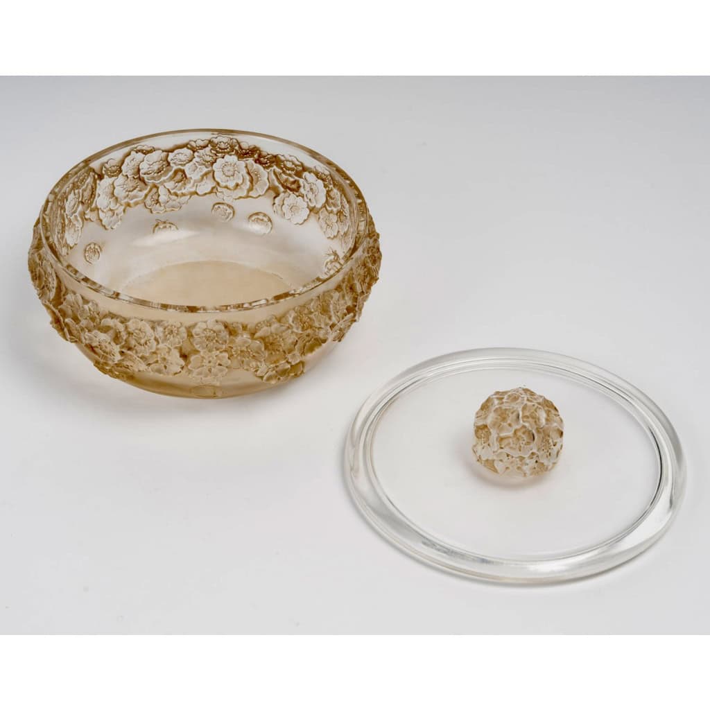 1927 René Lalique – Boîte Primevères Verre Blanc Patiné Sépia 4