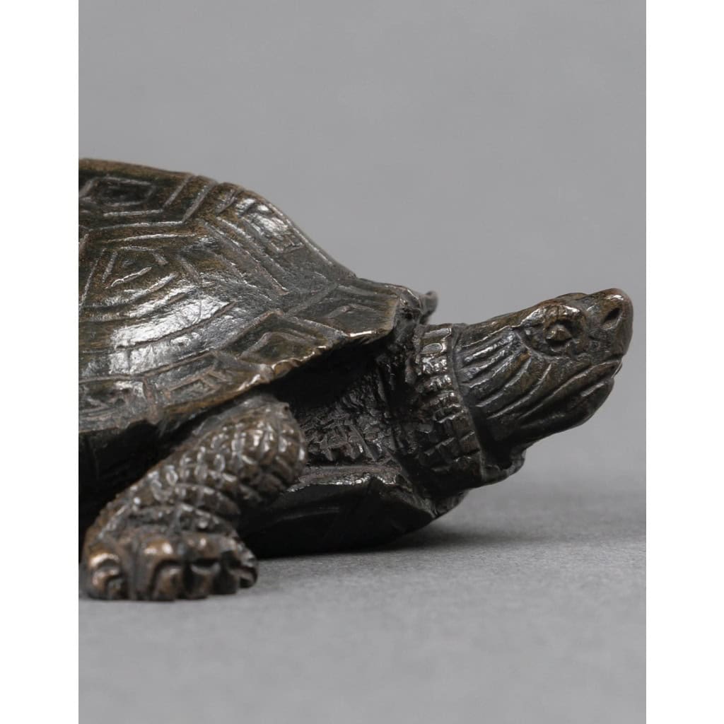 Sculpture – Tortue N°2 , Antoine-Louis Barye (1795-1875) – Bronze 8 Sculpture – Tortue N°2 , Antoine-Louis Barye (1795-1875) – Bronze 8