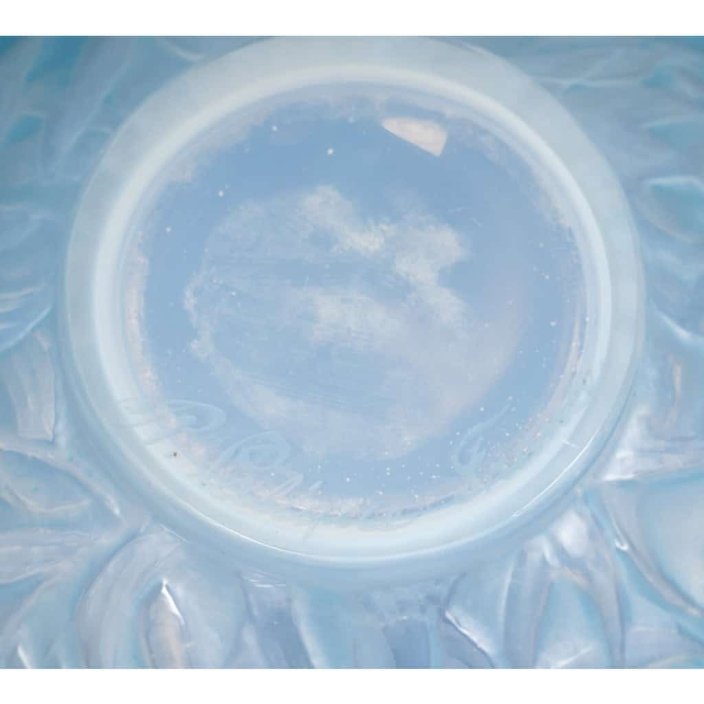 1920 René Lalique – Vase Gui Verre Opalescent Patiné Bleu 9