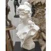 Sculpture – Buste De Jeune Femme Aux Fleurs , Vittorio Pochini (1860-1908) – Marbre 16 Sculpture – Buste De Jeune Femme Aux Fleurs , Vittorio Pochini (1860-1908) – Marbre 16