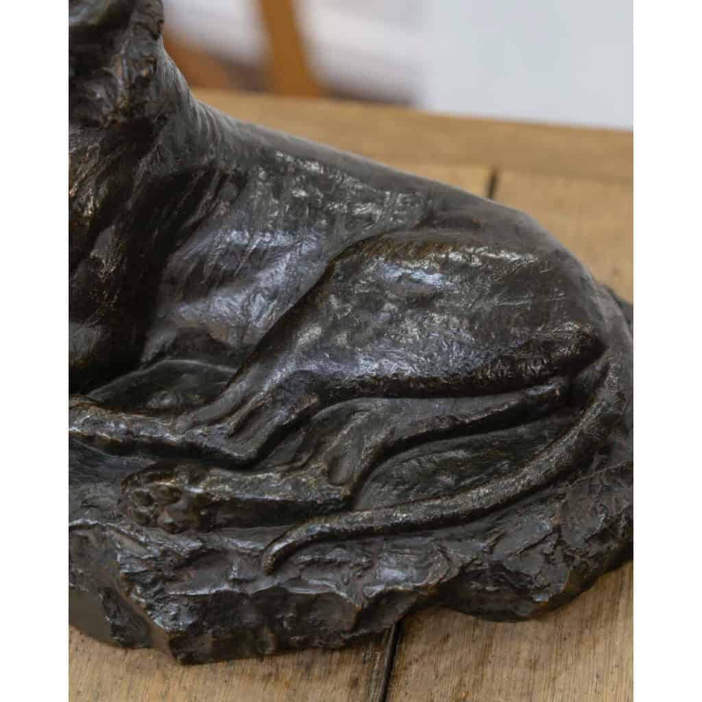 Sculpture – Le Tigre Couché , François Auguste Hippolyte Peyrol (1856-1929) – Bronze 9 Sculpture – Le Tigre Couché , François Auguste Hippolyte Peyrol (1856-1929) – Bronze 9