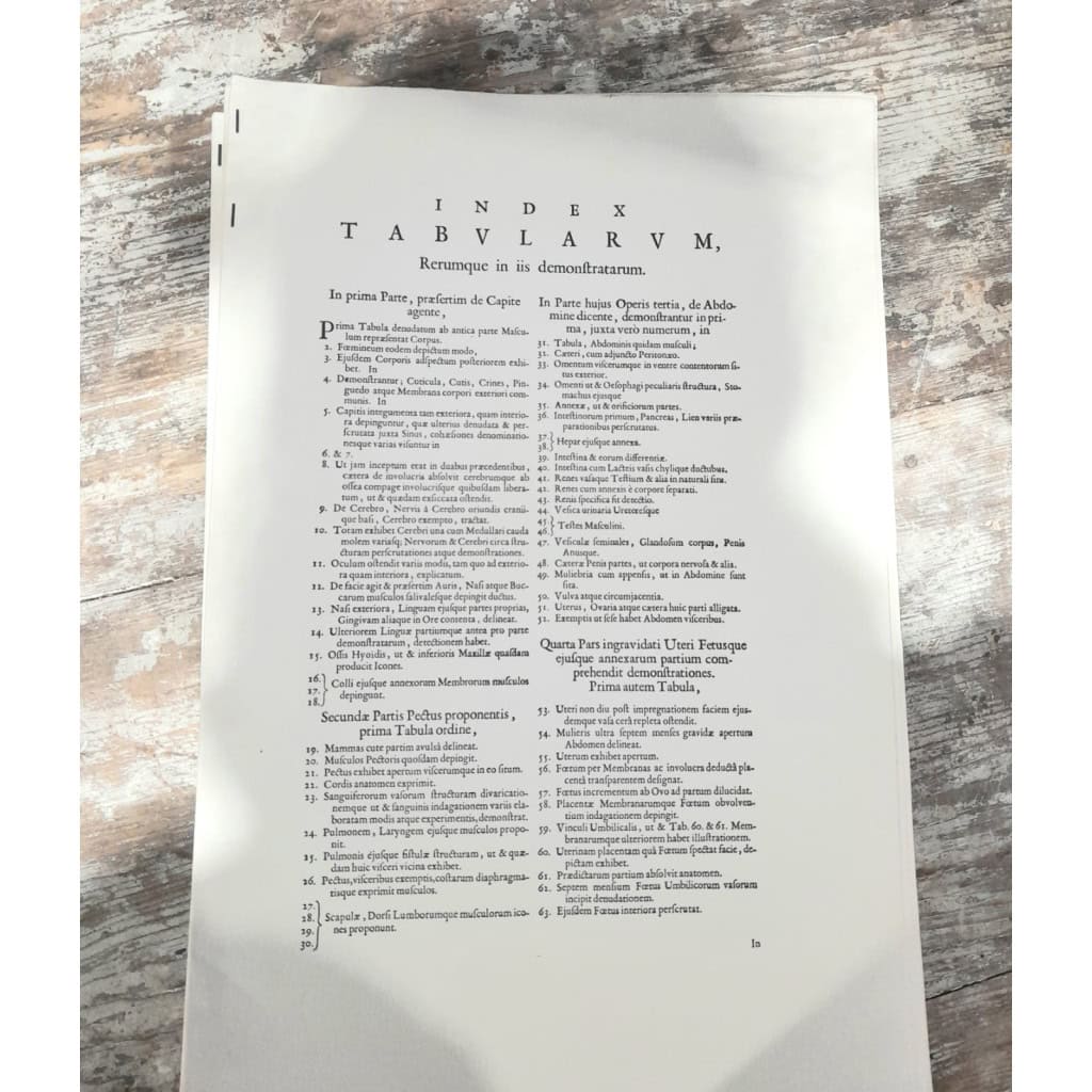 Godefridi Bidloo, De Humani Corporis, 1685 fac-similé non relié, 105 planches 4