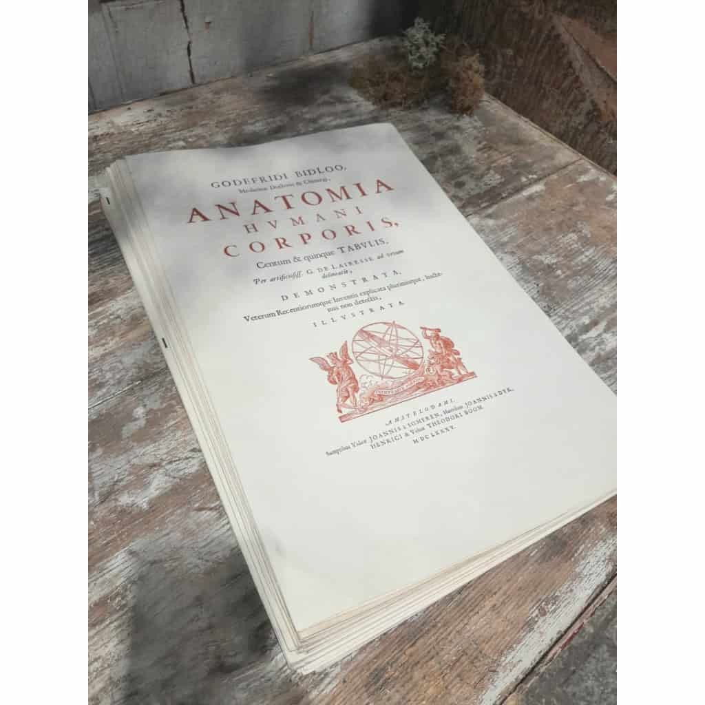 Godefridi Bidloo, De Humani Corporis, 1685 fac-similé non relié, 105 planches 3