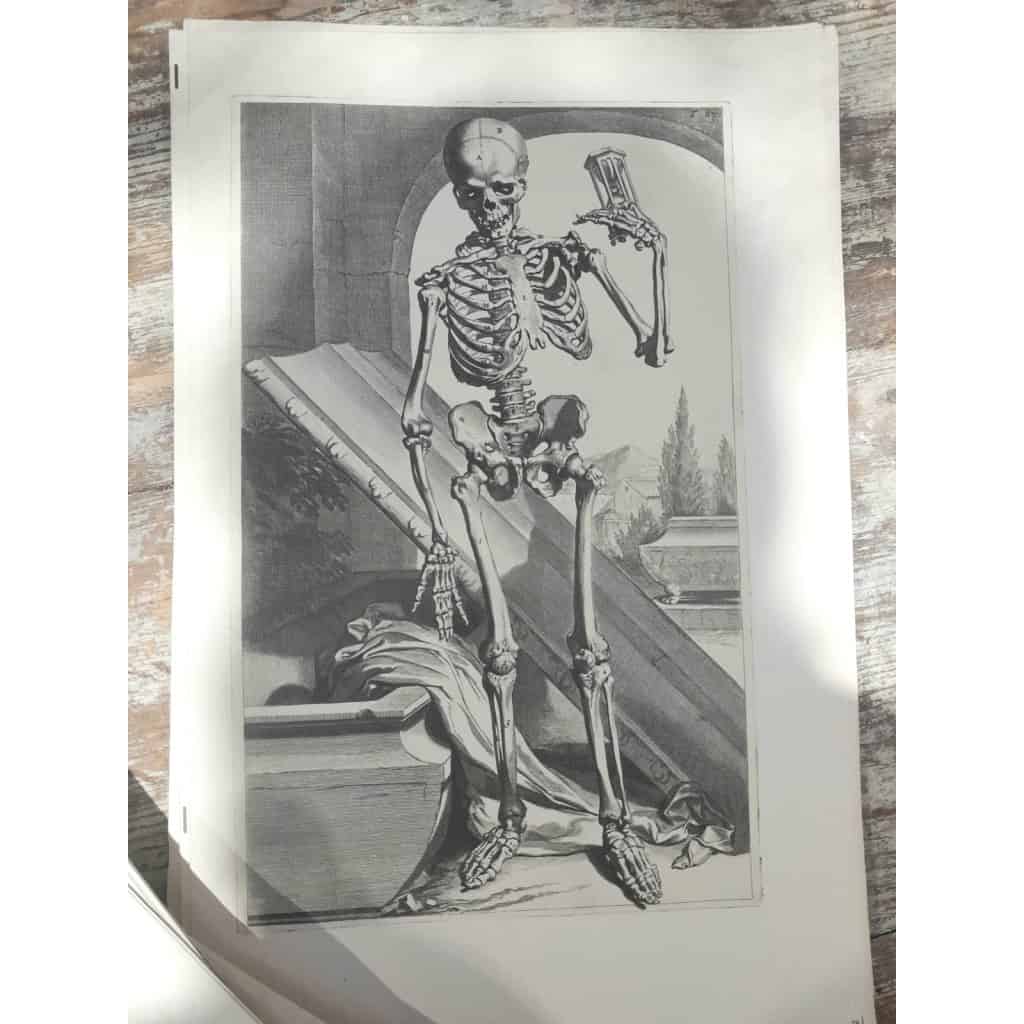 Godefridi Bidloo, De Humani Corporis, 1685 fac-similé non relié, 105 planches 5