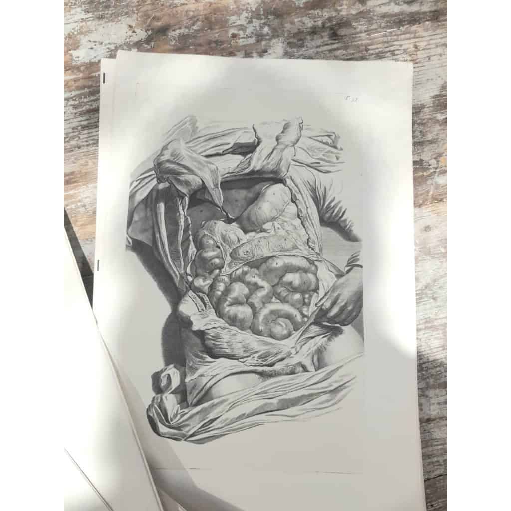 Godefridi Bidloo, De Humani Corporis, 1685 fac-similé non relié, 105 planches 11