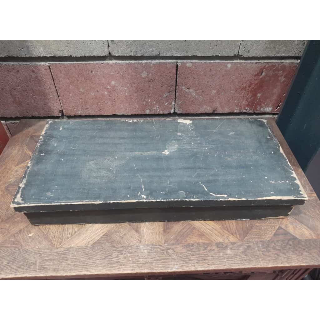 Collection d&rsquo;œufs, début XXÈME, 64 espèces 13