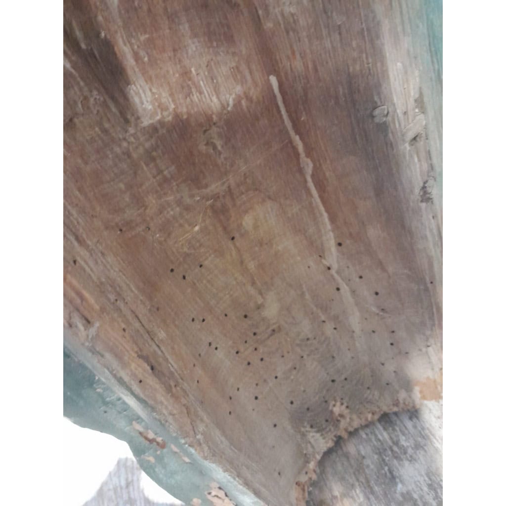 Saint Paul, bois polychrome, XVIIIÈME 13