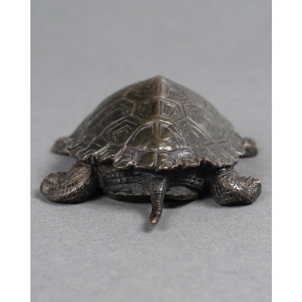 Sculpture – Tortue N°2 , Antoine-Louis Barye (1795-1875) – Bronze 6