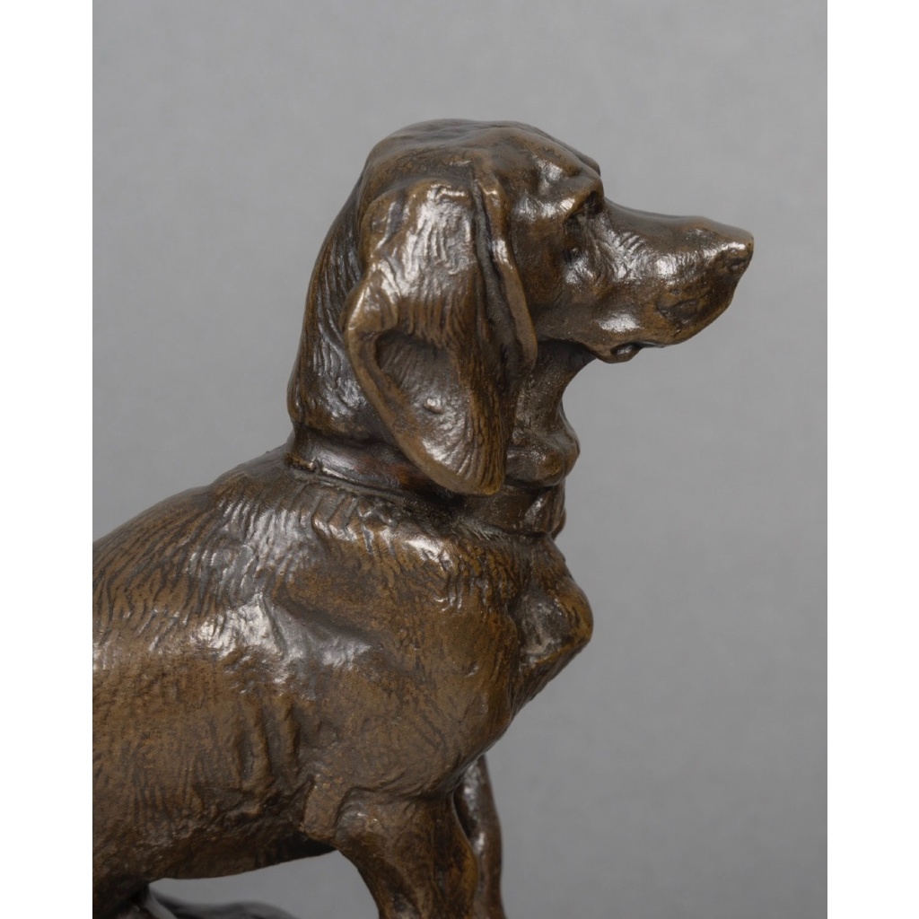 Sculpture – Basset Assis (Ravageot) , Emmanuel Frémiet (1824 -1910) – Bronze 12