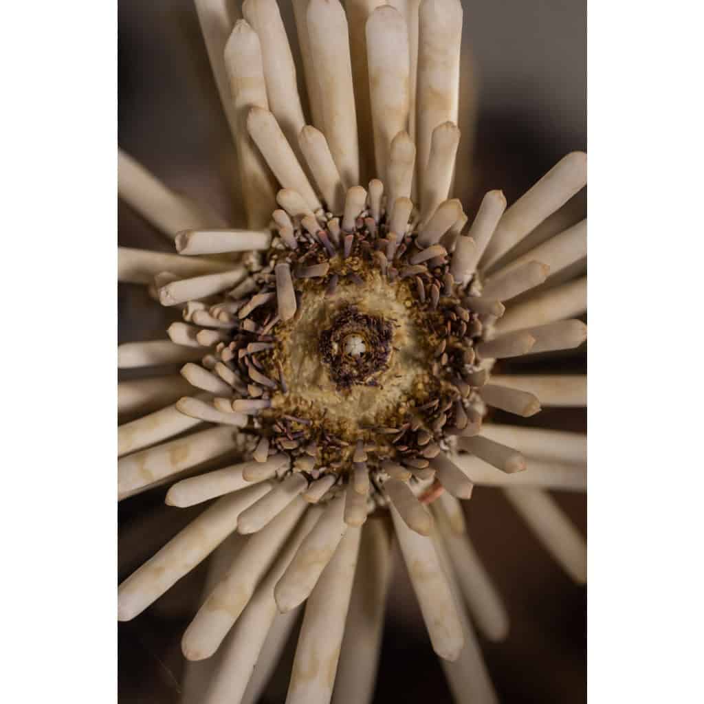 Paire de grandes appliques murales en métal poli. Années 70 8