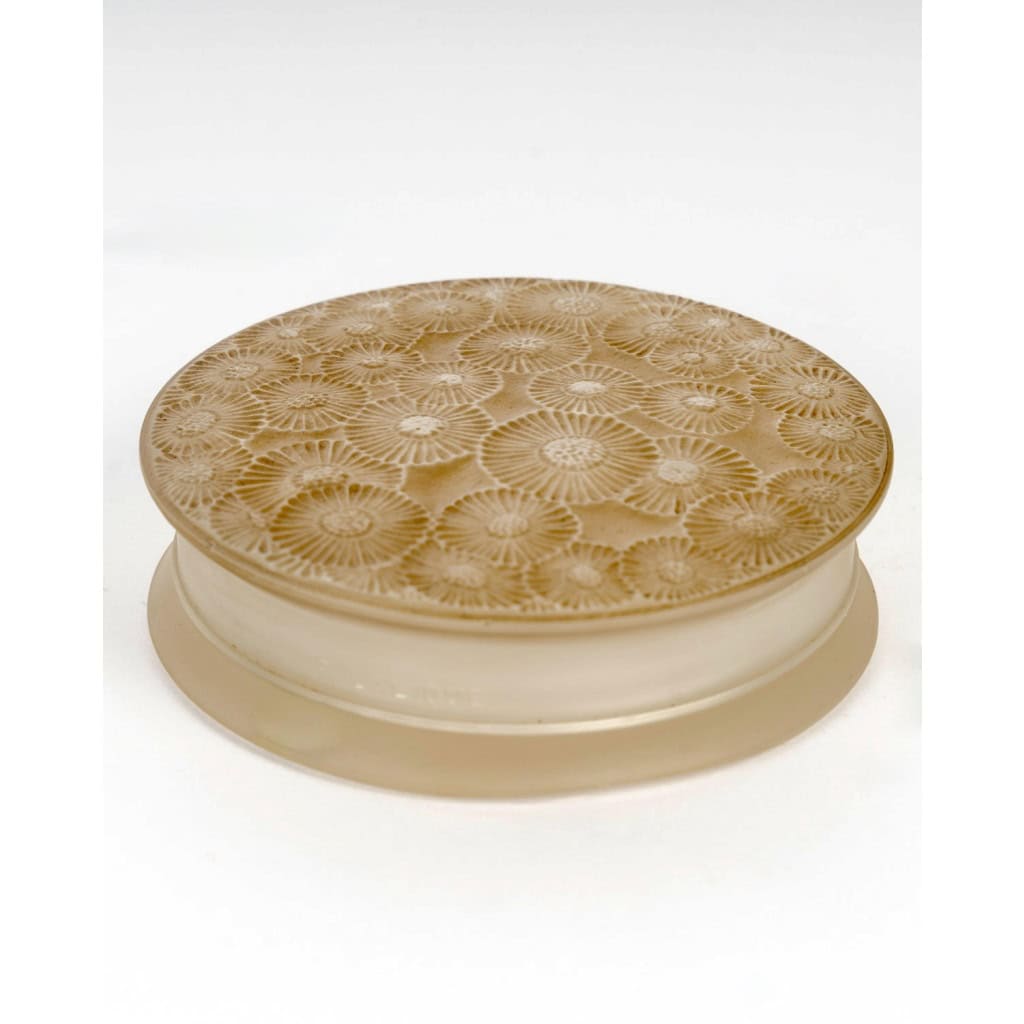 1920 René Lalique – Boîte Marguerites Verre Blanc Patiné Sépia 3