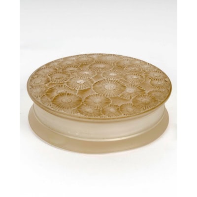 1920 René Lalique – Boîte Marguerites Verre Blanc Patiné Sépia 1920 René Lalique – Boîte Marguerites Verre Blanc Patiné Sépia