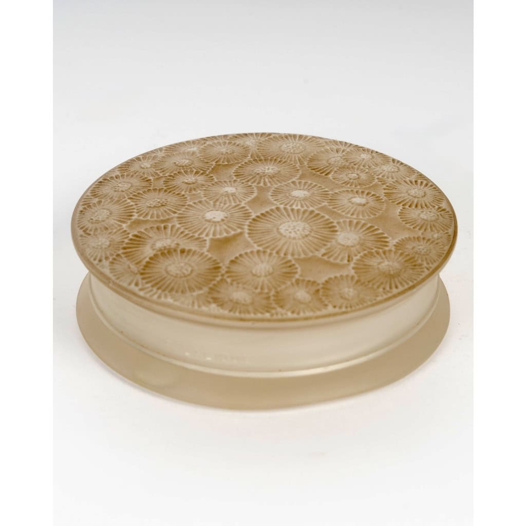 1920 René Lalique – Boîte Marguerites Verre Blanc Patiné Sépia 4
