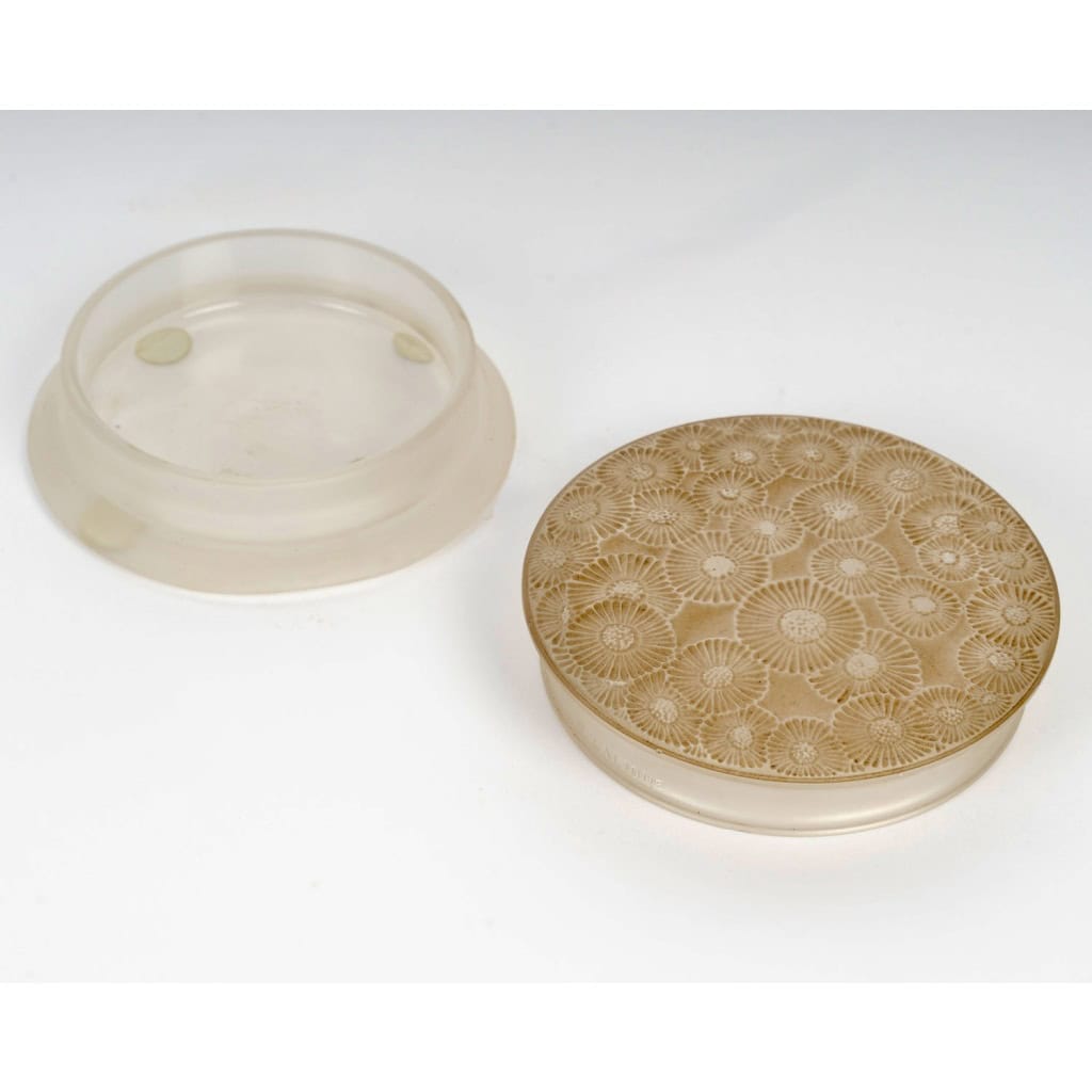 1920 René Lalique – Boîte Marguerites Verre Blanc Patiné Sépia 6