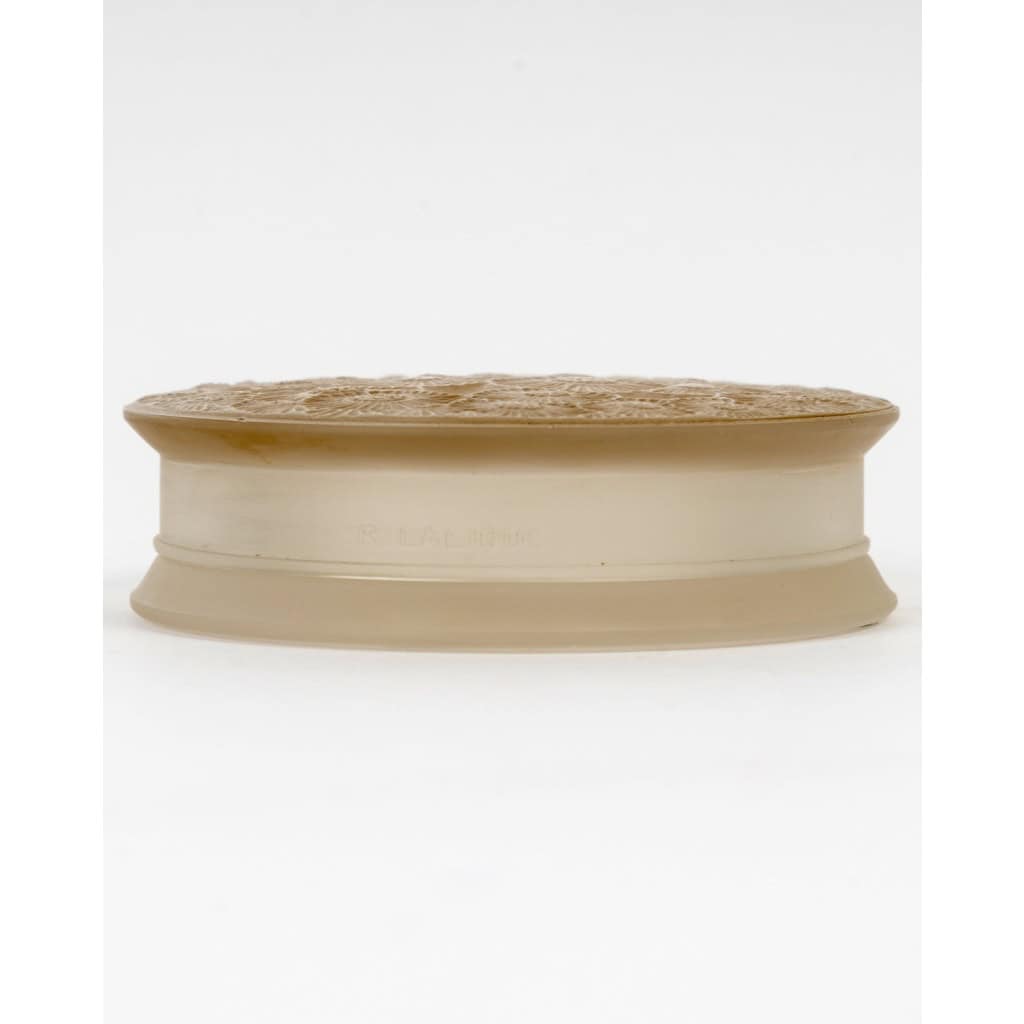 1920 René Lalique – Boîte Marguerites Verre Blanc Patiné Sépia 7