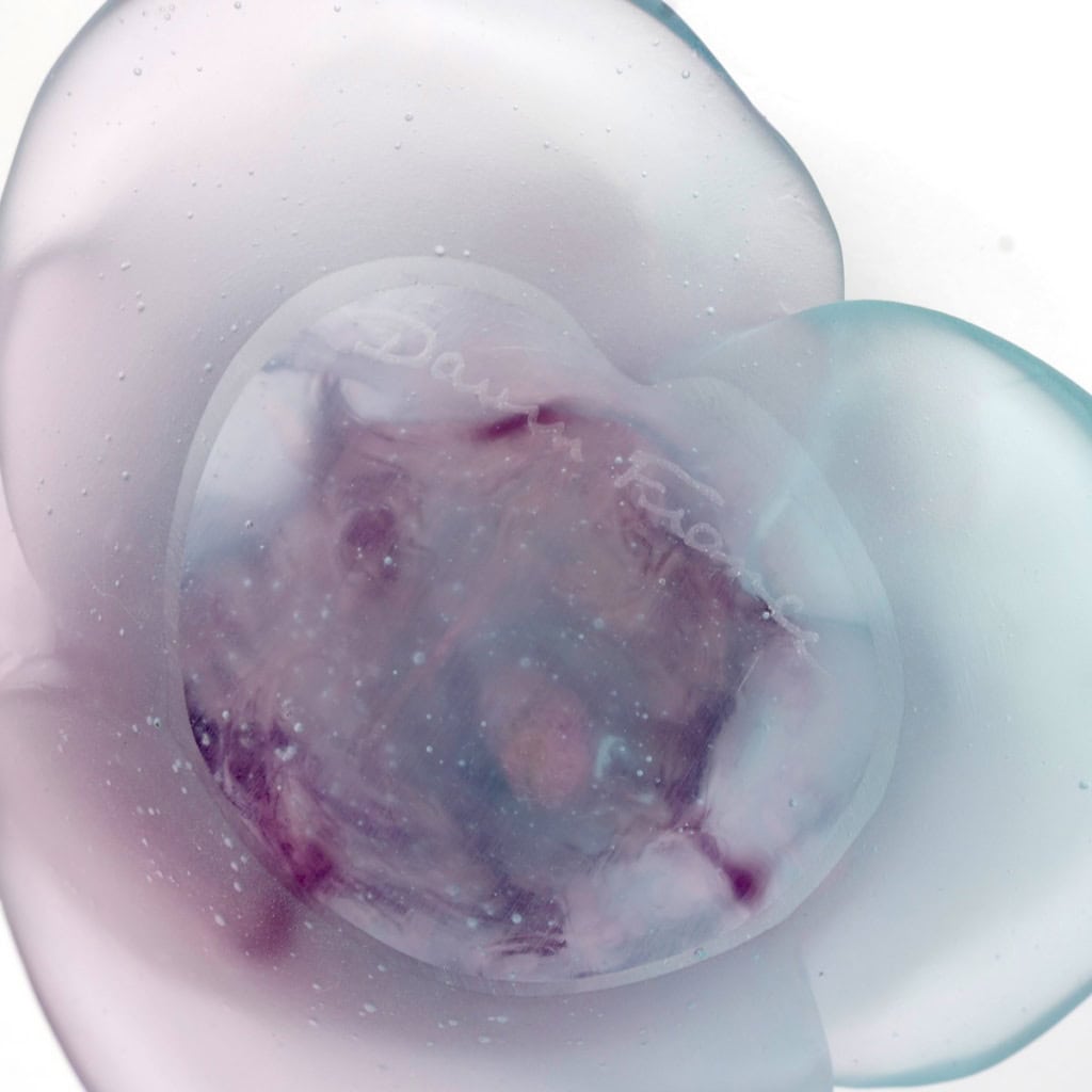 Daum France – Presse Papiers Fleur Décorative Rose Passion Cristal Dégradé Bleu et Rose 5