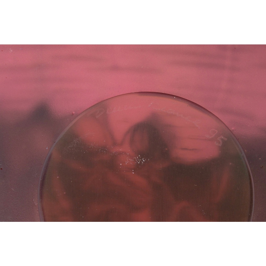 Daum France – Coupe Fleur d&rsquo;Orchidée Cristal – NEUF EN COFFRET 8