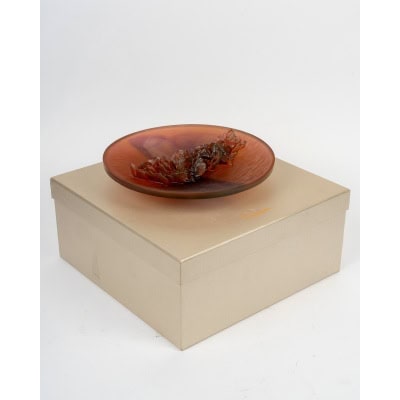 Daum France – Coupe Fleur d’Orchidée Cristal – NEUF EN COFFRET Daum France – Coupe Fleur d’Orchidée Cristal – NEUF EN COFFRET