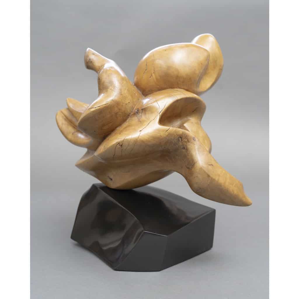 Sculpture Abstraite en Bois- Bernard Grassias 4